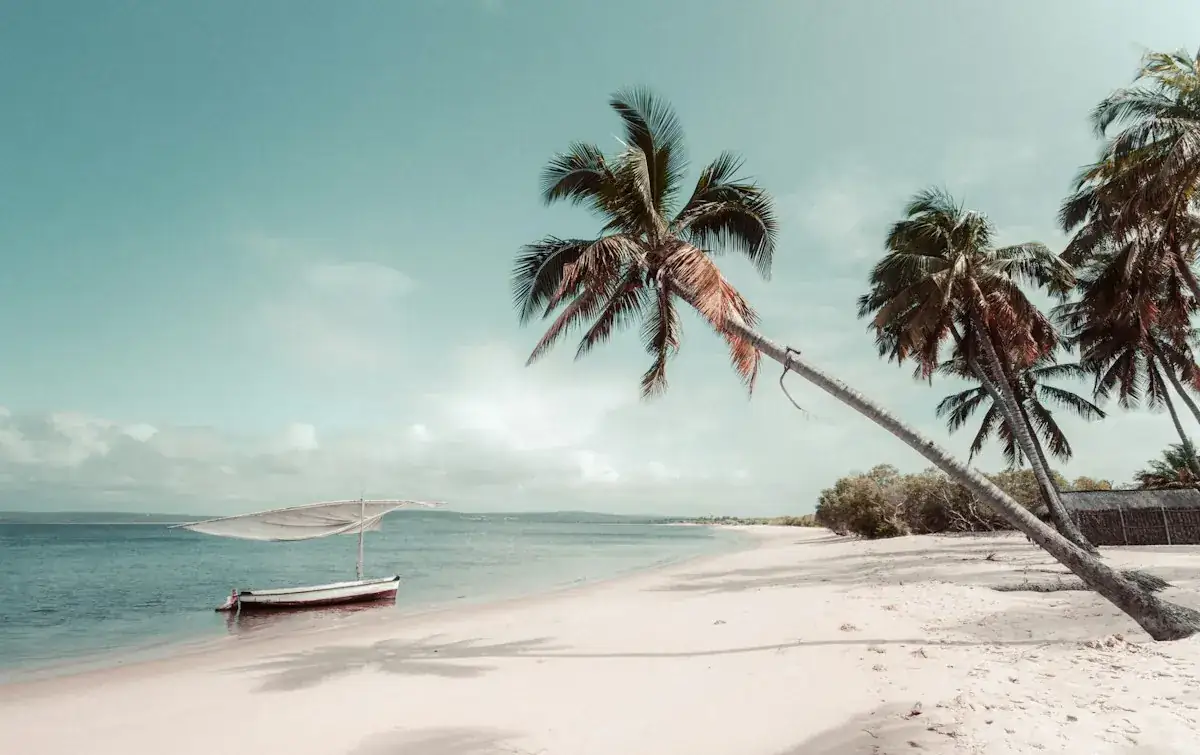 Praia com coqueiros inclinados sobre a areia